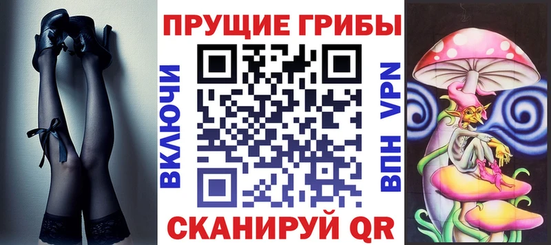 KRAKEN ТОР  Спасск  Псилоцибиновые грибы Psilocybe 